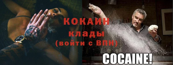 индика Алексин