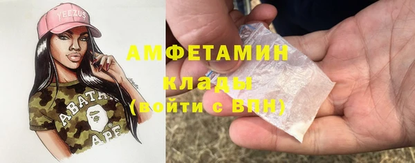 прущий лед Алзамай