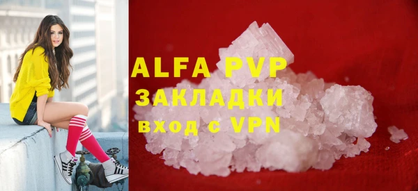 индика Алексин