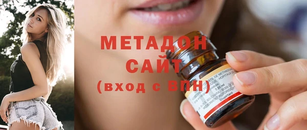 индика Алексин