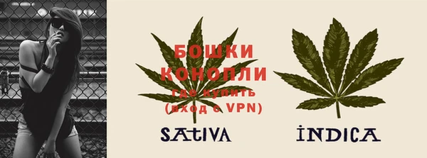 индика Алексин