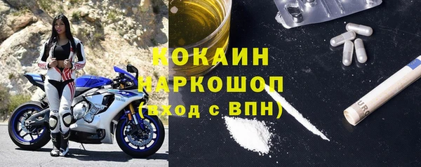 прущий лед Алзамай