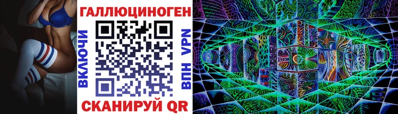 Псилоцибиновые грибы Psilocybine cubensis Новоульяновск